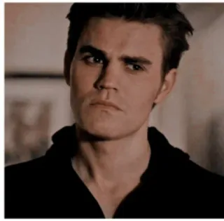 😒 Stefan Salvatore The Vampire Diaries 뱀파이어, 초자연, TV 프로그램, 드라마, 폴 웨슬리 telegram sticker
