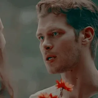 🥨 Klaus Mikaelson The Vampire Diaries vampire, the originals, klaus, mikaelson, joseph morgan telegram sticker