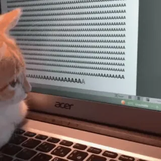 ⌨️ AAAAAAAAAAAAAAAAAAAAAAAAAAAAAAAAAAAAAAAAAAAAAAAAAAAAAAAAAAAAAAAAAAAAAAAAAAAAAAAAAAAAAAAAAAAAAAAAAAAAAAAAAAAAAAAAAAAAAAAAAAAAAAAAAAAAAAAAAAAAAAAAAAAAAAAAAAAAAAAAAAAAAAAAAAAAAAAAAAAAAAAAAAAAAAAAAAAAAAAAAAAAAAAAAAAAAAAAAAAAAAAAAAAAAAAAAAAAAAAAAAAAAAAA cat, keyboard, computer, animal, funny, meme, typing telegram sticker