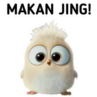🙃 MAKAN JING! pájaro, pegatina, lindo, divertido telegram sticker