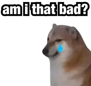 😖 Cheems Doge meme am i that bad? telegram sticker