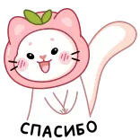☺️ СПАСИБО kucing, persik, terima kasih, lucu, hewan, kartun, kawaii whatsapp sticker