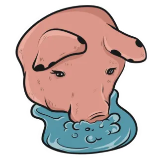 Плюпа (@woodoodler) telegram stickers