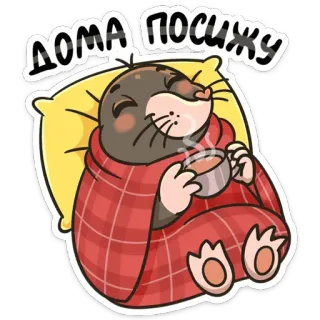 😊 ДОМА ПОСИЖУ talpa, carino, accogliente, rilassante, casa, tè, coperta, cuscino whatsapp sticker