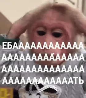 😳 ЕБАААААААААААААААААААААААААААААААААААААААААААААААААААААТЬ 원숭이, 불쾌한, 욕설 telegram sticker