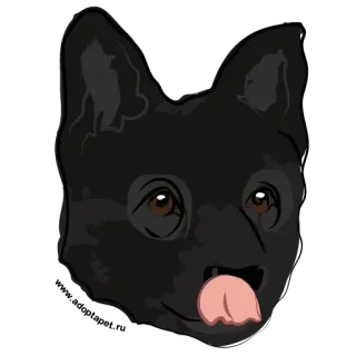 Adopt a Pet / vol.2 telegram stickers