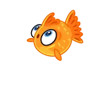 😱 cá, cá vàng, động vật, phim hoạt hình telegram sticker