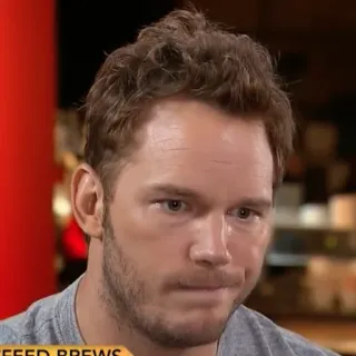 🐁 Chris Pratt aktor, selebriti, pria, potret telegram sticker