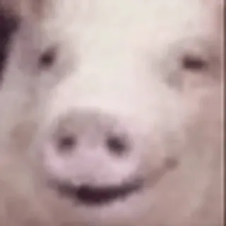 🙂