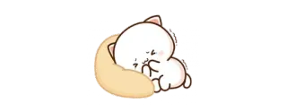 😢 gatto, assonnato, carino, adorabile, gattino whatsapp sticker