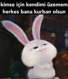 🤓 Snowball The Secret Life of Pets kimse için kendimi üzemem herkes bana kurban olsun 토끼, 애완동물, 동물, 만화, 애니메이션, 유머, 재미 whatsapp sticker