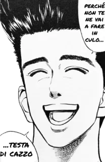 😄 PERCHÉ NON TE NE VAI A FARE IN CULO... ...TESTA DI CAZZO insult, manga, italian, offensive telegram sticker