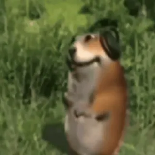 🌟 Hund, Tier, Kopfhörer, Haustier, süß, lustig, Meme telegram sticker