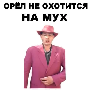 🦅 ОРЁЛ НЕ ОХОТИТСЯ НА МУХ telegram sticker