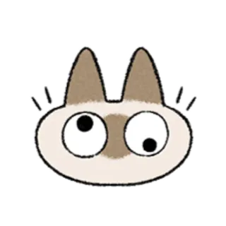 😺 gato, engraçado, olhos esbugalhados, desenho animado telegram sticker