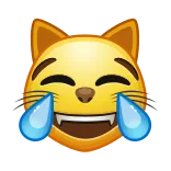 😹