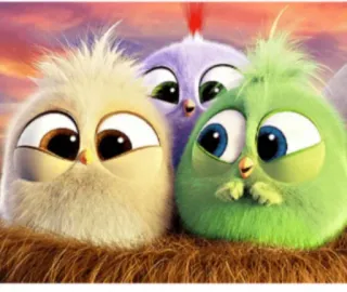 🤩 vogels, schattig, jonge vogels, cartoon, pluizig, kuikens whatsapp sticker