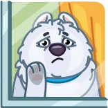 😢 강아지, 슬픈, 강아지, 외로운, 창문, 애완 동물 whatsapp sticker