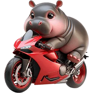 🏍 hippo, motorcycle, animal, cartoon, cute, red motorcycle telegram sticker