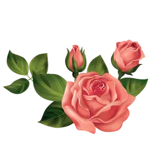 🌓 rose, flower, floral, nature, bouquet, plant telegram sticker