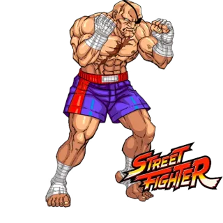 ️ Sagat Street Fighter Fighting Game, Videospiel, Street Fighter, Sagat, Kampfsport telegram sticker