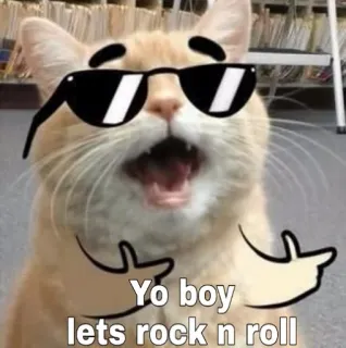 😂 Yo boy lets rock n roll gato, rock and roll, óculos de sol, legal, meme, engraçado, meu camarada telegram sticker