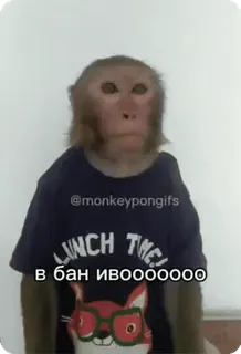 🌟 в бан ивоооооооо mono, prohibición, ruso, meme, animal telegram sticker