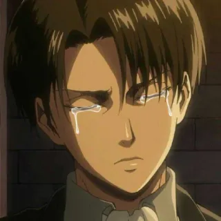 📎 Levi Ackerman Attack on Titan anime, piangere, triste, lacrime, Levi Ackerman, L'attacco dei giganti whatsapp sticker