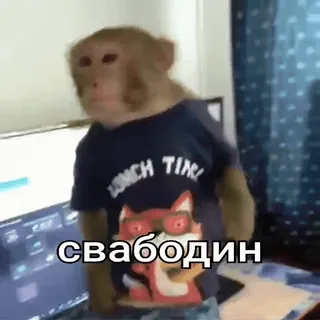 🤬 свабодин singe, t-shirt, animal, drôle, mème whatsapp sticker