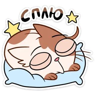 😴 СПЛЮ Katze, schlafend, Kissen, müde, süß, Cartoon telegram sticker
