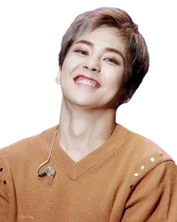 😄 Xiumin kpop, singer, idol, exo, xiumin, minseok telegram sticker