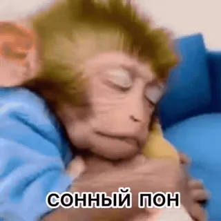 Больше стиков тут: @stikery4 telegram stickers