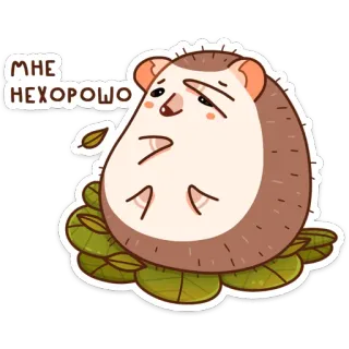 🙈 МНЕ НЕХОРОШО hedgehog, sad, russian, animal, sticker, cartoon telegram sticker