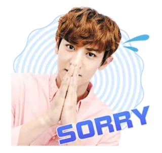 🙏 SORRY entschuldigung, sorry, kpop, exo, koreanisch, süß, ausdruck telegram sticker
