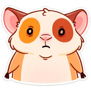 🙁 porcellino d'India, animale domestico, animale, carino, roditore, adesivo telegram sticker