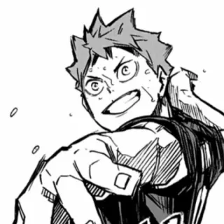 🖇 Hinata Shoyo Haikyuu!! อนิเมะ, มังงะ, ไฮคิว!!, ฮินาตะ โชโย, วอลเลย์บอล telegram sticker