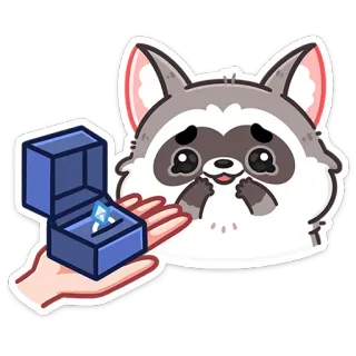 💍 szop pracz, zaręczyny, małżeństwo, oświadczyny, pierścionek, zwierzę z kreskówki, miłość whatsapp sticker