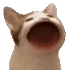 🍴