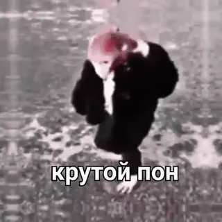 😎 крутой пон telegram sticker