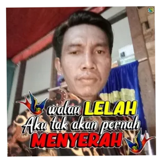 🖼 walau LELAH Aku tak akan pernah MENYERAH indonesian, motivation, man, never give up, perseverance, selfie, quote telegram sticker