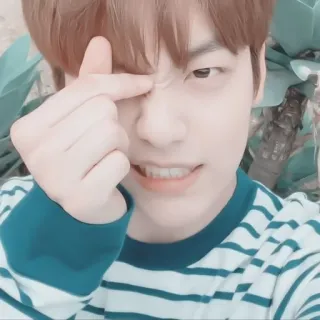 🎧 kpop, gesto de corazón, corazón con los dedos, asiático, lindo, estético telegram sticker