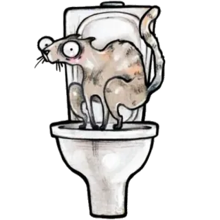 🚽 kucing, toilet, kamar mandi, hewan, kartun, lucu, humor, kucing telegram sticker
