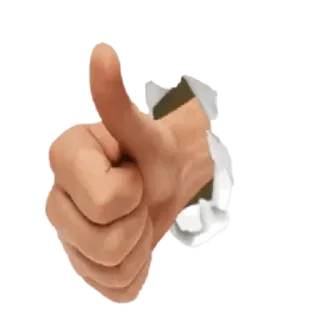 👍 thumbs up, hand gesture, agreement, okay, positive telegram sticker