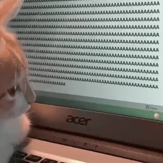😱 AAAAAAAAAAAAAAAAAAAAAAAAAAAAAAAAAAAAAAAAAAAAAAAAAAAAAAAAAAAAAAAAAAAAAAAAAAAAAAAAAAAAAAAAAAAAAAAAAAAAAAAAAAAAAAAAAAAAAAAAAAAAAAAAAAAAAAAAAAAAAAAAAAAAAAAAAAAAAAAAAAAAAAAAAAAAAAAAAAAAAAAAAAAAAAAAAAAAAAAAAAAAAAAAAAAAAAAAAAAAAAAAAAAAAAAAAAAAAAAAAAAAAAAAAAAAAAAAAAAAAAAAAAAAAAAAAAAAAAAAAAAAAAAAAAAAAAAAAAAAAAAAAAAAAAAAAAAAAAAAAAAAAAAAAAAAAAAAAAAAAAAAAAAAAAAAAAAAAAAAAAAAAAAAAAAAAAAAAAAAAAAAAAAAAAAAAAAAAAAAAAAAAAAAAAAAAAAAAAAAAAAAAAAAAAAAAAAAAAAAAAAAAAAAAAAAAAAAAAAAAAAAAAAAAAAAAAAAAAAAAAAAAAAAAAAAAAAAAAAAAAAAAAAAAAAAAA kot, pisanie, komputer, mem, zwierzę, śmieszne, internet whatsapp sticker