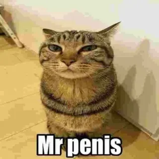 Mr penis @hessfireinfire whatsapp stickers