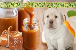 🍯 С днем соленой карамели salted caramel, dog, puppy, dessert, caramel, sweet telegram sticker