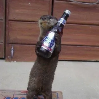 🦦 BUD LIGHT nutria, cerveza, alcohol, bud light, animal, lindo, fiesta telegram sticker