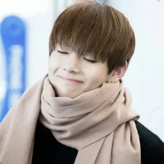 😊 người, khăn quàng cổ, nụ cười, đàn ông, chân dung telegram sticker