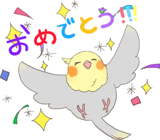 🙌 おめでとう！！ Vogel, Nymphensittich, Feier, Konfetti, süß, kawaii, fröhlich telegram sticker