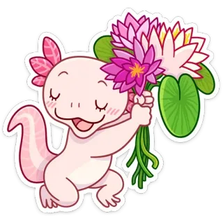 💐 Axolotl, Sticker, Niedlich, Blumen, Cartoon telegram sticker